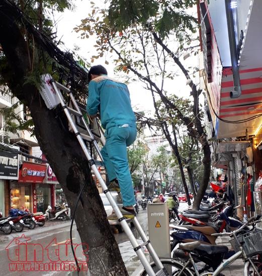 Yêu cầu các đơn vị phải thanh thải cáp viễn thông sau khi đã hạ ngầm ảnh 1